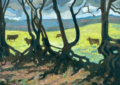 Highland Cattle in the Quantocks by Juliet Harkness
